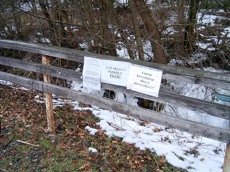 20110219 079.jpg